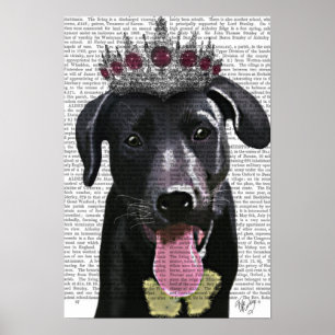 Póster Labrador Preto Com Tiara