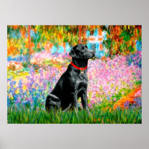 Póster Labrador (Preto) - Jardim
