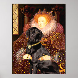 Póster Labrador (preto) - Rainha