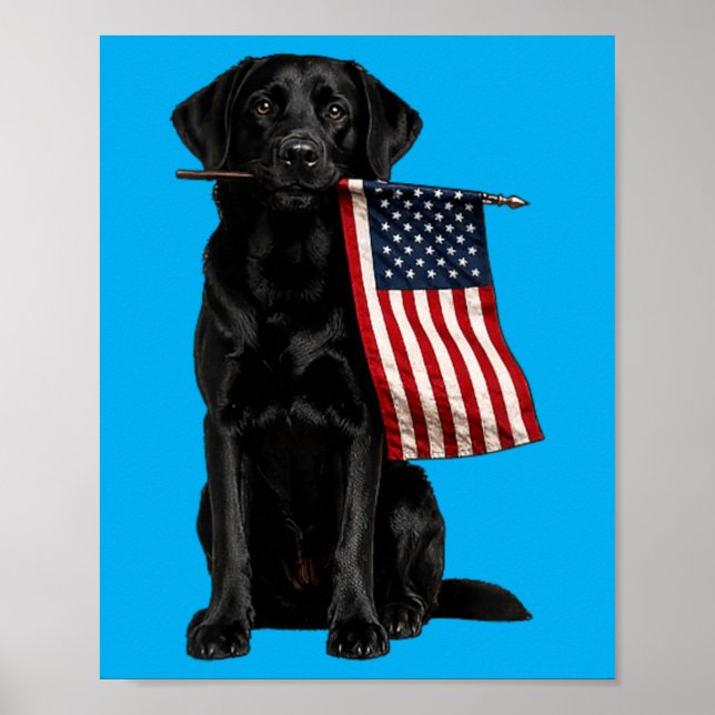 Poster Labrador preto segurando bandeira americana engraç (Frente)
