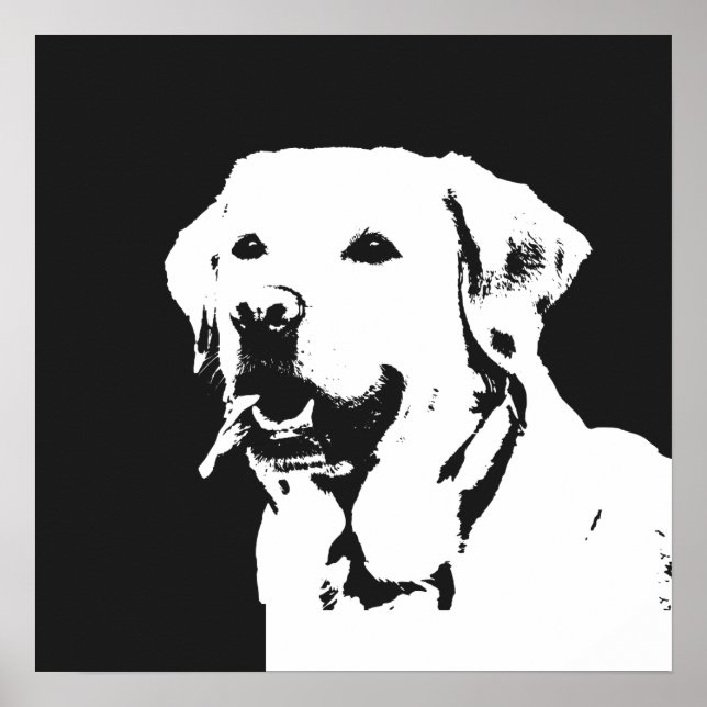 Poster Labrador Retriever (Frente)