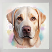 Labrador Retriever, Arte Whimsical Mágica
