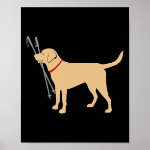 Poster Labrador Retriever Busca Bastões de Esqui Labrador