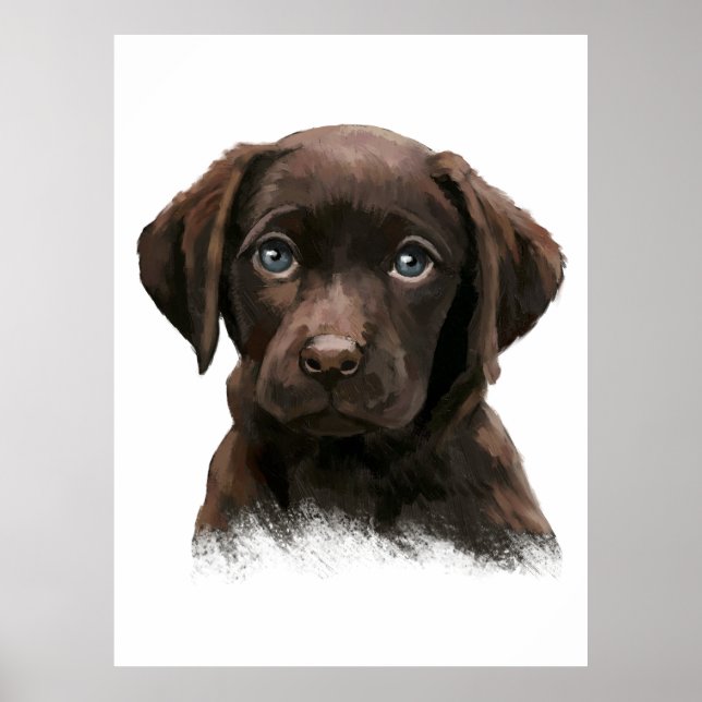 Poster Labrador Retriever Chocolate (Frente)