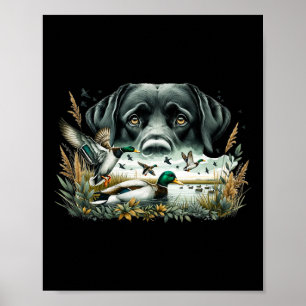 Poster Labrador Retriever Com Patos Mallard Caçando Pato