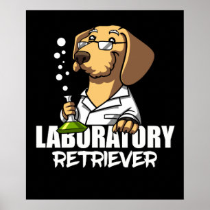 Poster Labrador Retriever Dog Chemistry Science