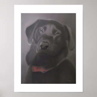 Poster Labrador Retriever Linda 11x14