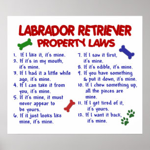 PÓSTER LABRADOR RETRIEVER PL2