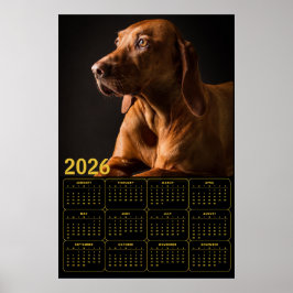 Poster Labrador Retriever Portrait with 2026 Calendar