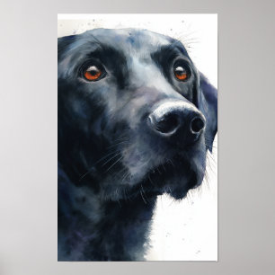 Poster Labrador retriever preto aquarela