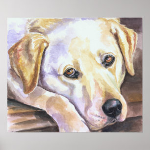 Poster Labrador Retriever Print