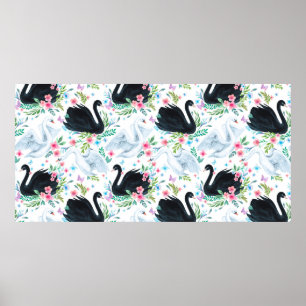 Poster Laca de cisne branca e preta, de cor aquosa, sem c