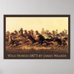 Poster Laçando Cavalos Selvagens por James Walker