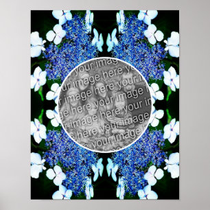 Poster Lacecap Azul Hydrangea Flower Frame Adicionar Sua