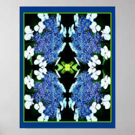 Poster Lacecap Hydrangea Flower Close Abstrato
