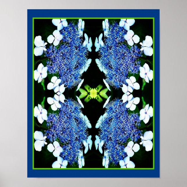 Poster Lacecap Hydrangea Flower Close Abstrato (Frente)