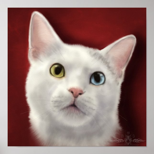 Póster Lacey (Frente)