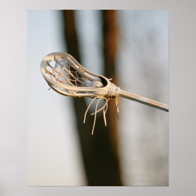 Poster Lacrosse Stick (Frente)