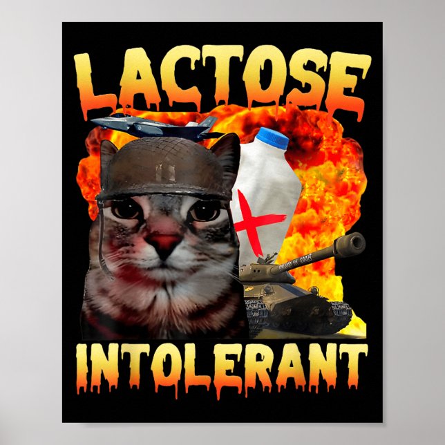 Poster Lactose Intolerant Silly Cat Meme Funny Saying Cat (Frente)