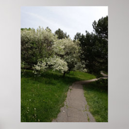 Poster Lados claros, escuros e opostos