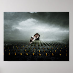 Poster ladrão 2 da tulipa 2013