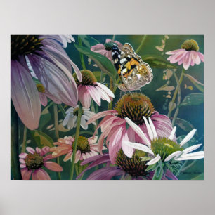 Poster Lady Butterfly Coneflowers pintados Art 18x24