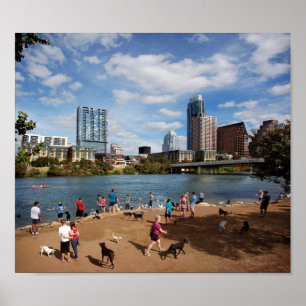 Póster Ladybird Lake Dog Park Austin Texas Skyline