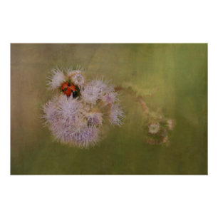 Póster Ladybird no Dandelion Fecha Arte Fotográfica