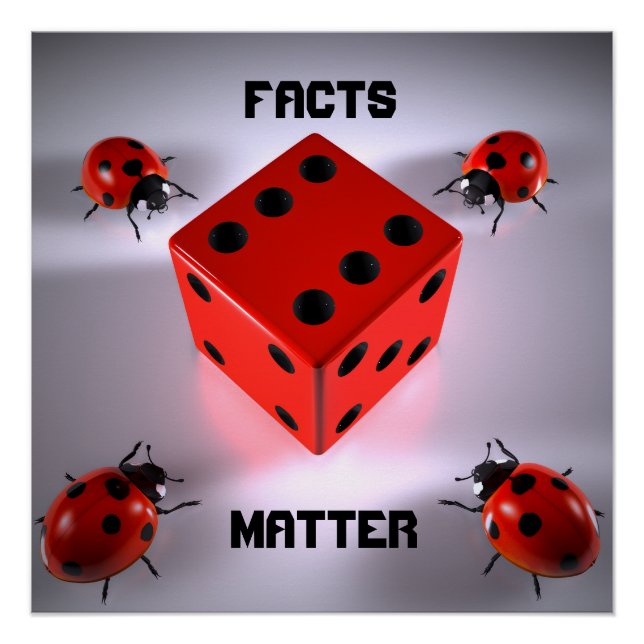 Póster Ladybug (Frente)