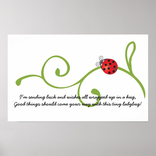 Poster Ladybug (Frente)