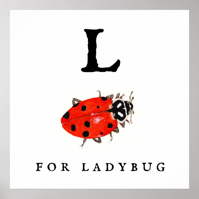 Poster Ladybug (Frente)