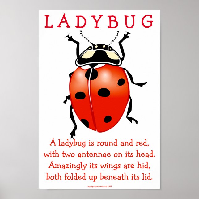 Poster Ladybug (Frente)