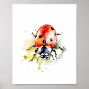 Poster Ladybug Cuja Cama de Água