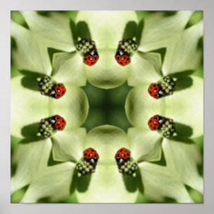 Póster Ladybug Na Dogwood Abstrato Nature Mirror Art