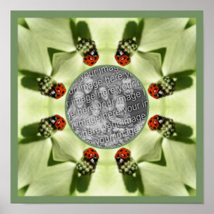 Poster Ladybug Na Dogwood Nature Adicione Sua Foto