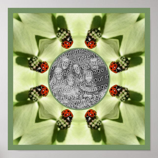 Poster Ladybug Na Dogwood Nature Adicione Sua Foto (Frente)