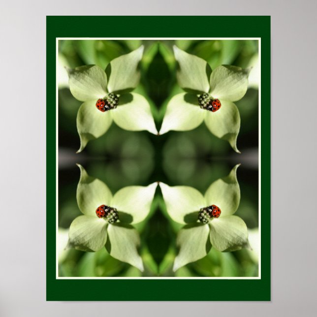 Poster Ladybug No Abstrato De Flor Branco De Dogwood (Frente)