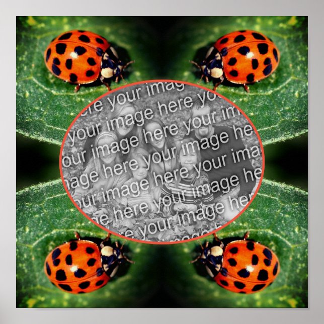 Poster Ladybug No Quadro Leaf Crie Sua Própria Foto (Frente)