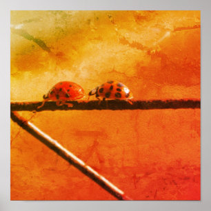 Poster Ladybugs Tocam Seguir O Líder Abstrato Grunge
