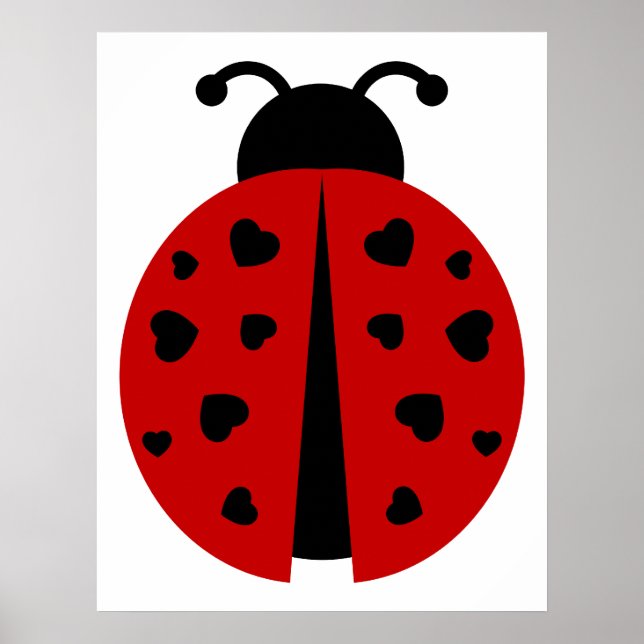 Póster ladybugz (Frente)