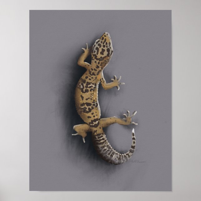Poster Lagarto-da-lagartixa-do-leopardo (Frente)