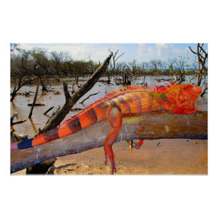 Póster Lagarto-de-laranja-preto em Margarita Poster brilh