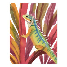 Lagarto do caribe