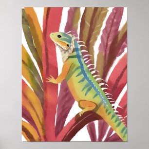 Poster Lagarto do caribe