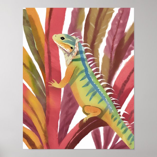Poster Lagarto do caribe (Frente)