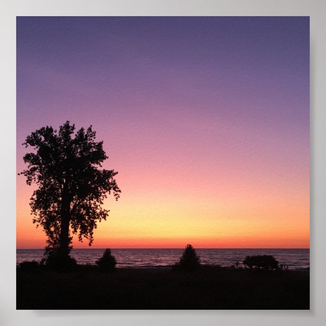 Poster lago (Frente)