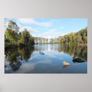 Póster Lago alinhado árvore