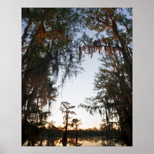 Póster Lago Caddo ao nascer do sol (Frente)