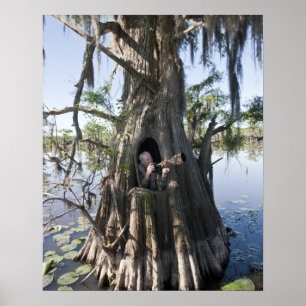 Póster Lago Caddo, esconderijo de caça