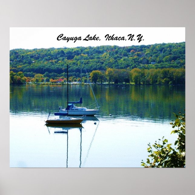 POSTER LAGO CAYUGA NO OUTONO (Frente)